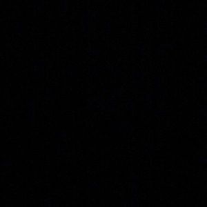 Meet your Posher, Shiloh